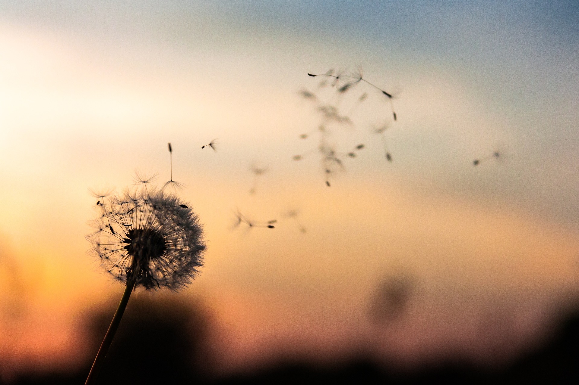 Allergie stagionali: cause e rimedi